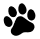 imageright1
